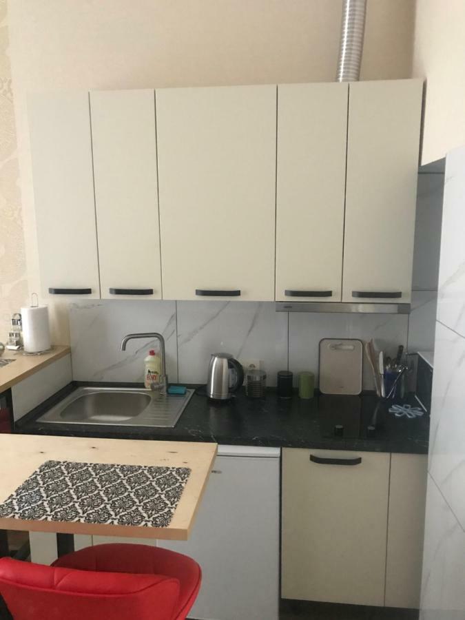 Apartment Barvy Lvova On Kostyushka St Екстериор снимка